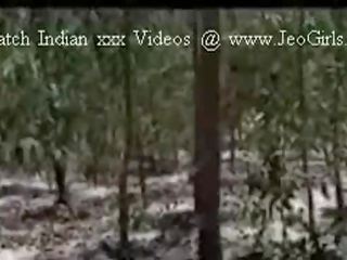Džiunglės seksas video